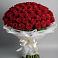 Букет 101 Красная роза Блэк Мэджик в Перлевке