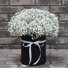 Цветочная композиция из Гипсофила в шляпной коробке в Перлевке