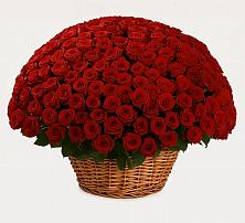 Премиум букет из: Розы в Перлевке